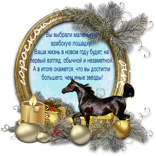 Вы выбрали маленькую арабскую лошадку! Ваша жизнь в новом году будет, на первый взгляд, обычной и незаметной. А в итоге окажется, что вы достигли большего, чем иные звёзды!